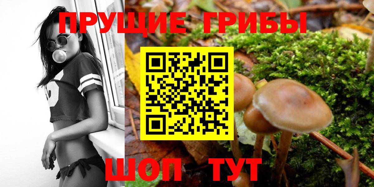 Псилоцибиновые грибы прущие грибы Кореновск