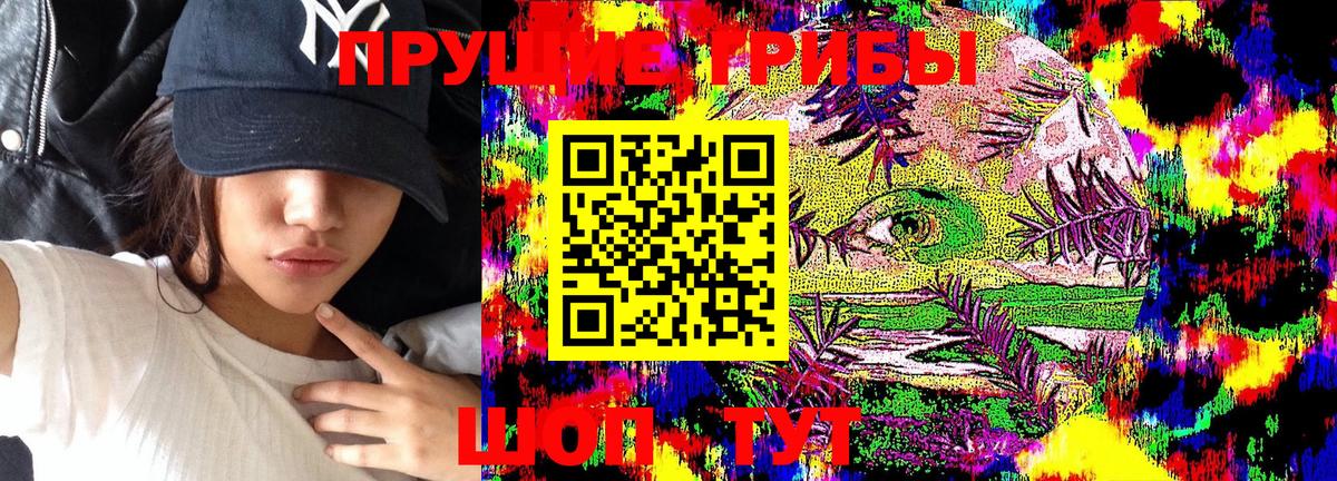 Галлюциногенные грибы GOLDEN TEACHER  Псилоцибиновые грибы GOLDEN TEACHER  Кореновск  Вход с VPN 